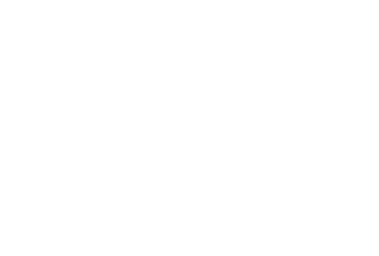 SpeedoLiv Logo